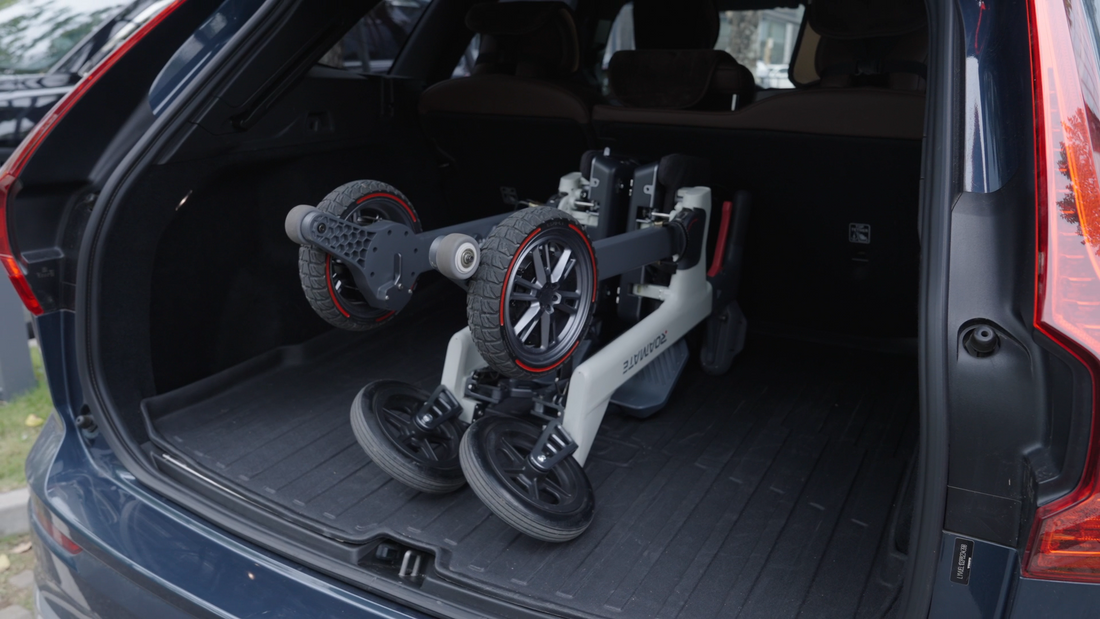 put in and out of the car